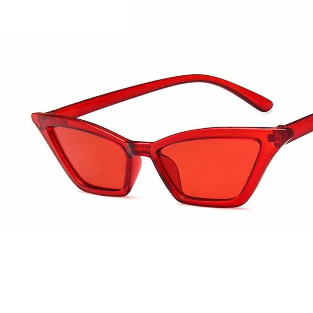 2019 new fashion sunglasses